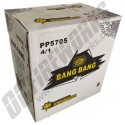 Wholesale Fireworks Bang Bang Case 4/1